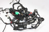 2016 BMW S1000XR OEM MAIN ENGINE WIRING HARNESS MOTOR WIRE LOOM