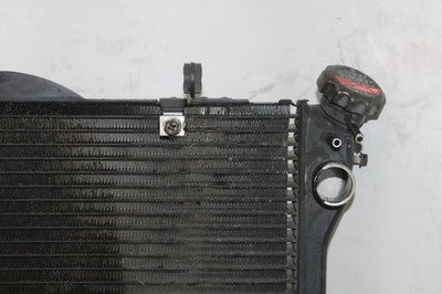 01-03 HONDA CBR1100XX OEM ENGINE RADIATOR MOTOR COOLER COOLING RADIATER
