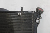 01-03 HONDA CBR1100XX OEM ENGINE RADIATOR MOTOR COOLER COOLING RADIATER