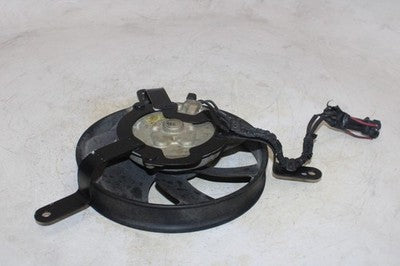 99-03 HONDA CBR1100XX OEM ENGINE RADIATOR COOLING FAN