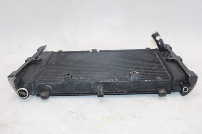 01-05 YAMAHA FZ1 Fazer FZS1000 OEM ENGINE RADIATOR MOTOR COOLER COOLING RADIATER