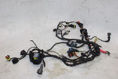 2003 DUCATI 999 OEM MAIN ENGINE WIRING HARNESS MOTOR WIRE LOOM