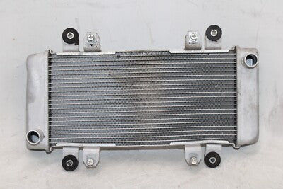 2015 KAWASAKI NINJA 300 EX300B ABS OEM ENGINE RADIATOR MOTOR COOLER COOLING