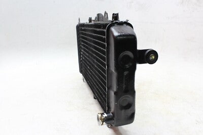 89-99 YAMAHA FZR600R OEM ENGINE RADIATOR MOTOR COOLER COOLING RADIATER