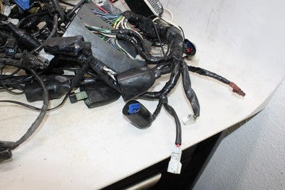 2006 HONDA GOLDWING 1800 GL1800 OEM MAIN ENGINE WIRING HARNESS MOTOR WIRE LOOM