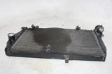 01-03 HONDA CBR1100XX OEM ENGINE RADIATOR MOTOR COOLER COOLING RADIATER