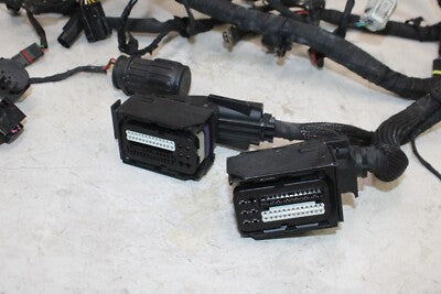 2005 BMW K1200S ABS OEM MAIN ENGINE WIRING HARNESS MOTOR WIRE LOOM