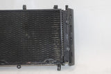 01-05 YAMAHA FZ1 Fazer FZS1000 OEM ENGINE RADIATOR MOTOR COOLER COOLING RADIATER