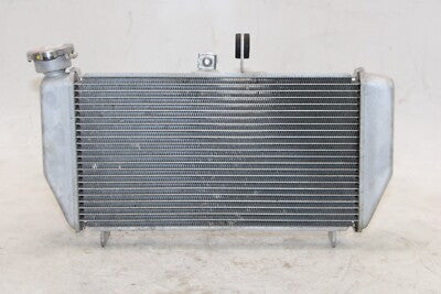 15-25 YAMAHA YZF R3 OEM ENGINE RADIATOR MOTOR COOLER COOLING RADIATER