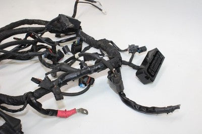 2010 BMW S1000RR OEM MAIN ENGINE WIRING HARNESS MOTOR WIRE LOOM