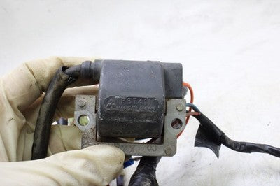 1980 YAMAHA XT250 OEM MAIN ENGINE WIRING HARNESS MOTOR WIRE LOOM