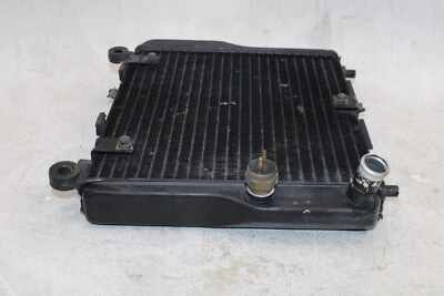 86-06 KAWASAKI CONCOURS 1000 ZG1000A OEM ENGINE COOLER COOLING RADIATOR RADIATER