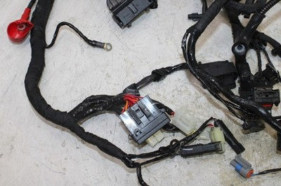 2018 BMW G310GS OEM MAIN ENGINE WIRING HARNESS MOTOR WIRE LOOM