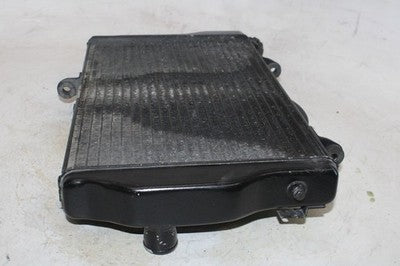 01-03 HONDA CBR1100XX OEM ENGINE RADIATOR MOTOR COOLER COOLING RADIATER
