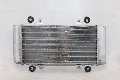 2015 KAWASAKI NINJA 300 EX300B ABS OEM ENGINE RADIATOR MOTOR COOLER COOLING