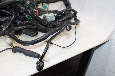 2006 HONDA GOLDWING 1800 GL1800 OEM MAIN ENGINE WIRING HARNESS MOTOR WIRE LOOM