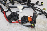 2003 DUCATI 999 OEM MAIN ENGINE WIRING HARNESS MOTOR WIRE LOOM