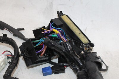1999 TRIUMPH SPEED TRIPLE T509 OEM MAIN ENGINE WIRING HARNESS MOTOR WIRE LOOM