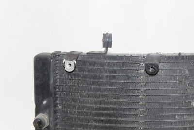 95-98 HONDA CBR600F3 OEM ENGINE RADIATOR MOTOR COOLER COOLING RADIATER