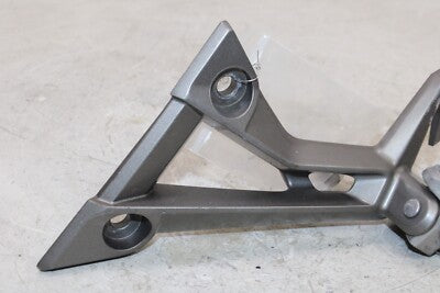 13-17 KAWASAKI NINJA 300 EX300B ABS OEM LEFT REAR BACK PASSENGER PEG