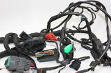 2016 BMW S1000XR OEM MAIN ENGINE WIRING HARNESS MOTOR WIRE LOOM