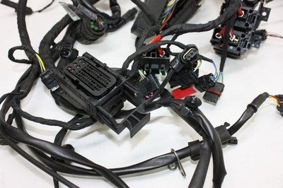 2016 BMW S1000XR OEM MAIN ENGINE WIRING HARNESS MOTOR WIRE LOOM