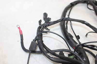 2005 HARLEY-DAVIDSON ELECTRA GLIDE EFI FLHTI OEM MAIN ENGINE WIRING HARNESS