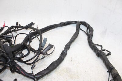 2005 HARLEY-DAVIDSON ELECTRA GLIDE EFI FLHTI OEM MAIN ENGINE WIRING HARNESS