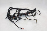 2001 BUELL BLAST P3 OEM MAIN ENGINE WIRING HARNESS MOTOR WIRE LOOM
