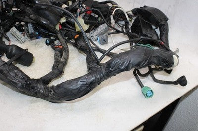 2006 HONDA GOLDWING 1800 GL1800 OEM MAIN ENGINE WIRING HARNESS MOTOR WIRE LOOM