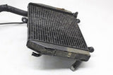 99-02 YAMAHA YZF R6 OEM ENGINE RADIATOR MOTOR COOLER COOLING RADIATER