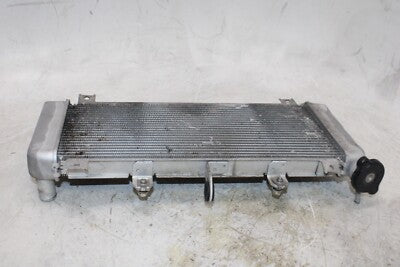 17-22 KAWASAKI NINJA 650 EX650NM OEM ENGINE RADIATOR MOTOR COOLER COOLING