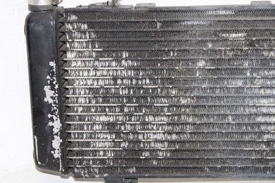 03-06 SUZUKI SV1000S OEM ENGINE RADIATOR MOTOR COOLER COOLING RADIATER
