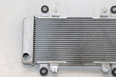 2016 KAWASAKI NINJA 300 EX300 ABS OEM ENGINE RADIATOR MOTOR COOLER COOLING