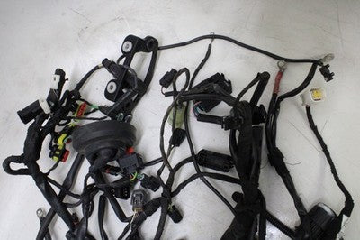 2009 BMW G450X OEM MAIN ENGINE WIRING HARNESS MOTOR WIRE LOOM