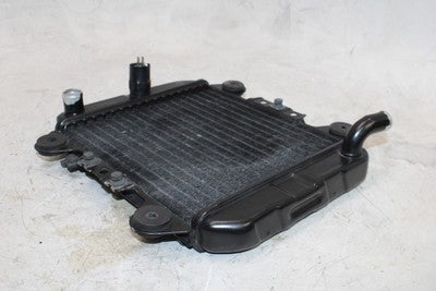 2007 KAWASAKI NINJA 250R EX250F OEM ENGINE RADIATOR MOTOR COOLER COOLING