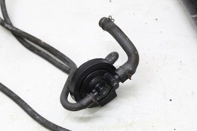 2003 HONDA REBEL 250 CMX250C OEM EVAP VAPOR CHARCOAL EMISSION CANISTER W HOSES