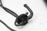 2003 HONDA REBEL 250 CMX250C OEM EVAP VAPOR CHARCOAL EMISSION CANISTER W HOSES