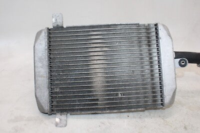 03-06 SUZUKI BURGMAN AN400S OEM ENGINE RADIATOR MOTOR COOLER COOLING RADIATER