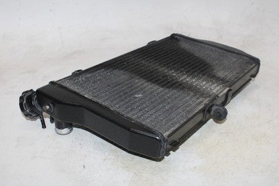 01-03 HONDA CBR1100XX OEM ENGINE RADIATOR MOTOR COOLER COOLING RADIATER