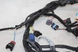1999 TRIUMPH SPEED TRIPLE T509 OEM MAIN ENGINE WIRING HARNESS MOTOR WIRE LOOM