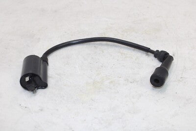 03-06 SUZUKI BURGMAN AN400S OEM IGNITION COIL SPARK PLUG CAP