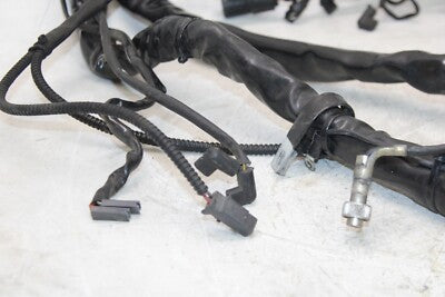2005 HARLEY-DAVIDSON ELECTRA GLIDE EFI FLHTI OEM MAIN ENGINE WIRING HARNESS