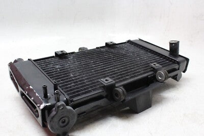 04-06 YAMAHA FZ6 OEM ENGINE RADIATOR MOTOR COOLER COOLING RADIATER