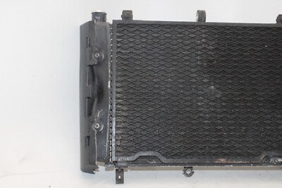 01-05 YAMAHA FZ1 Fazer FZS1000 OEM ENGINE RADIATOR MOTOR COOLER COOLING RADIATER
