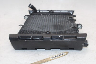 01-05 YAMAHA FZ1 Fazer FZS1000 OEM ENGINE RADIATOR MOTOR COOLER COOLING RADIATER
