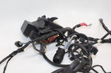 2010 BMW S1000RR OEM MAIN ENGINE WIRING HARNESS MOTOR WIRE LOOM