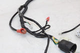 1999 MOTO GUZZI 1100 OEM MAIN ENGINE WIRING HARNESS MOTOR WIRE LOOM