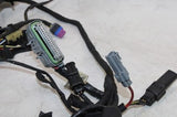 2007 HARLEY-DAVIDSON SPORTSTER 883 OEM MAIN ENGINE WIRING HARNESS WIRE LOOM