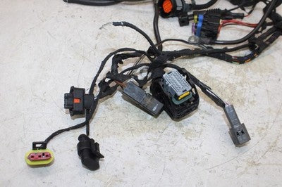 2003 DUCATI 999 OEM MAIN ENGINE WIRING HARNESS MOTOR WIRE LOOM
